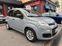 fiat-panda-1-0-firefly-s-s-hybrid-easy-neopatentat