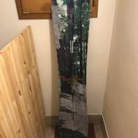 snowboard Burton Trick Pony 154