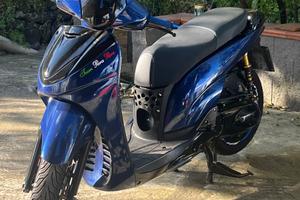 Ricambi sh 300