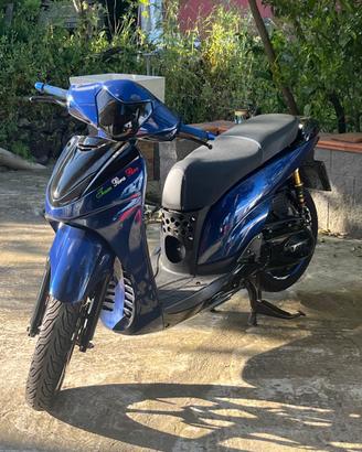 Ricambi sh 300