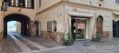 ATTIVITÀ A ALGHERO
