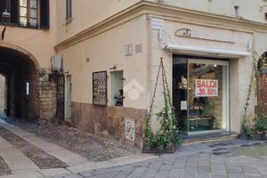 ATTIVITÀ A ALGHERO