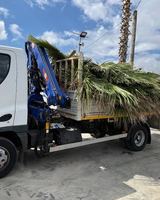 C O M P R O CAMION CON PATENTE B DAILY DUCATO ECC