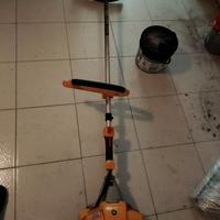 Decespugliatore  Alpina