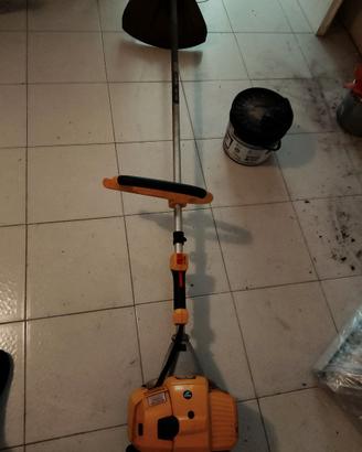 Decespugliatore  Alpina