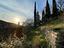Immagine 9