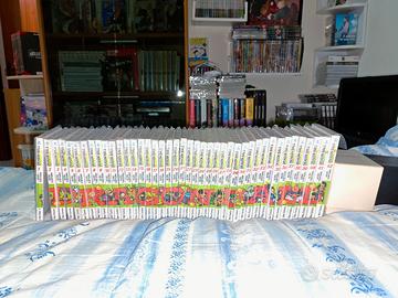 dragon ball evergreen completa 