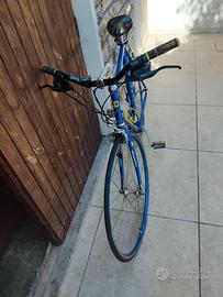 Bicicletta sportiva