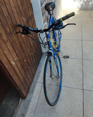 Bicicletta sportiva