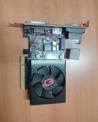 Scheda video GPU GT 730 1GB Generica