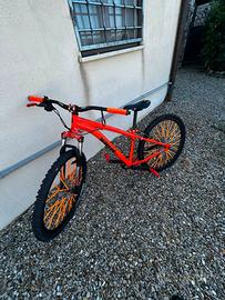 bicicletta