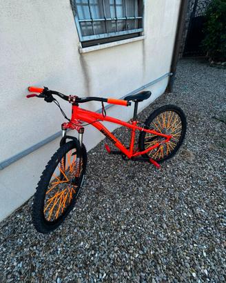 bicicletta