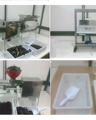 Frantoio domestico Olivia