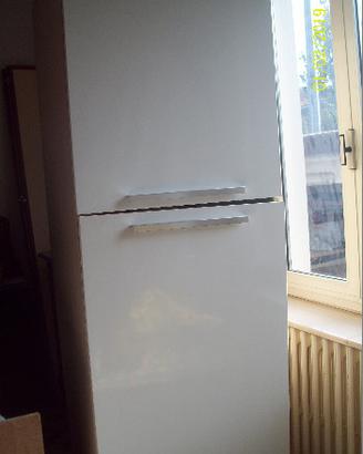 Armadio porta frigor
