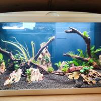 acquario ciano acqua led 80 