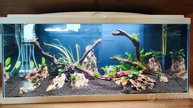 acquario ciano acqua led 80 