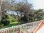 Immagine 23