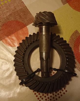 coppia conica 10 41 Alfa Romeo 