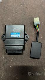 Centralina motore T-max 500