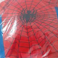 Spiderman vestito Carnevale