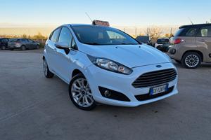 Ford Fiesta 1.5 TDCi 75CV 5 porte Titanium - 2013