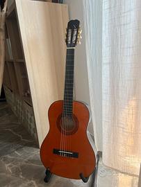 Chitarra Paloma 3/4