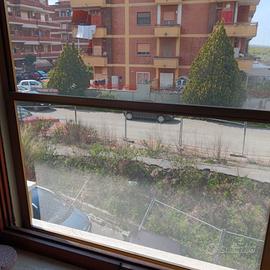 zanzariera bagno/camera