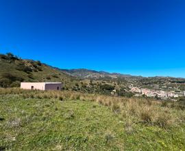 Vasto terreno di uliveto non edificabile