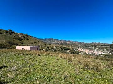 Vasto terreno di uliveto non edificabile