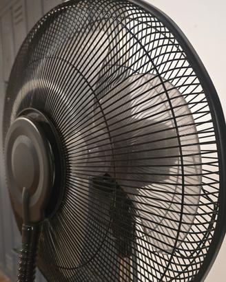 Ventilatore con nebulizzatore Ruby 