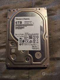 WD Black Performance Desktop Hard Disk Drive da 6