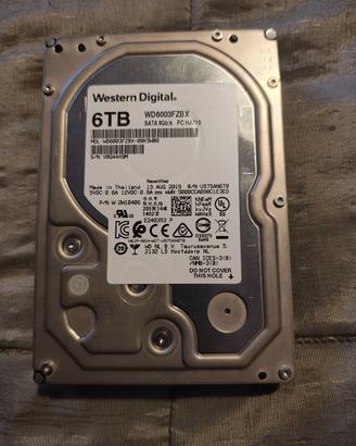 WD Black Performance Desktop Hard Disk Drive da 6