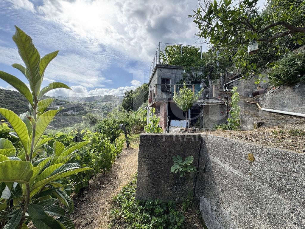 Terreno Agricolo Messina [Cod. rif 3331532VCG] - Vista 4