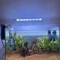 Acquario Open Led