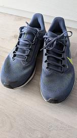 Nike Pegasus 41