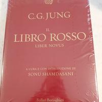 Il libro rosso C.G.Jung
