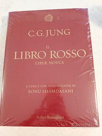 Il libro rosso C.G.Jung