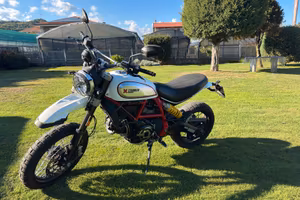 Ducati scrambler desert sled 800