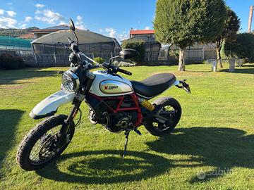 Ducati scrambler desert sled 800