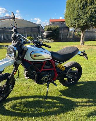 Ducati scrambler desert sled 800