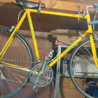 bici d'epoca pinarello