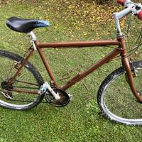 Mountain Bike usata