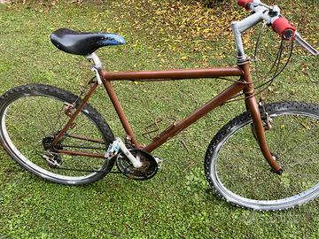 Mountain Bike usata