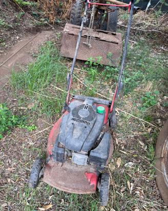 Tagliar erba efco lr48 pk
