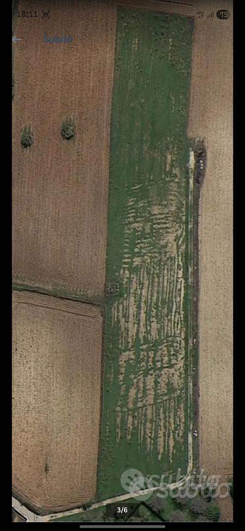 Terreno Agricolo Galatone 8000 m² - View 3