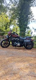 Harley Davidson Sportster 883 Iron XL