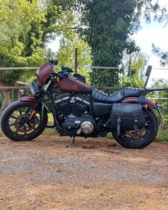 Harley Davidson Sportster 883 Iron XL