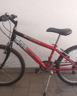 Bicicletta ragazzo Vertek 24 pollici