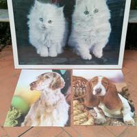 1 quadro + 2 poster rilievo anni '70. Gatti e cani
