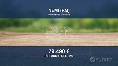 Immobile in asta di 14839 m² a Nemi